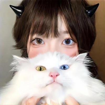 谎言对决